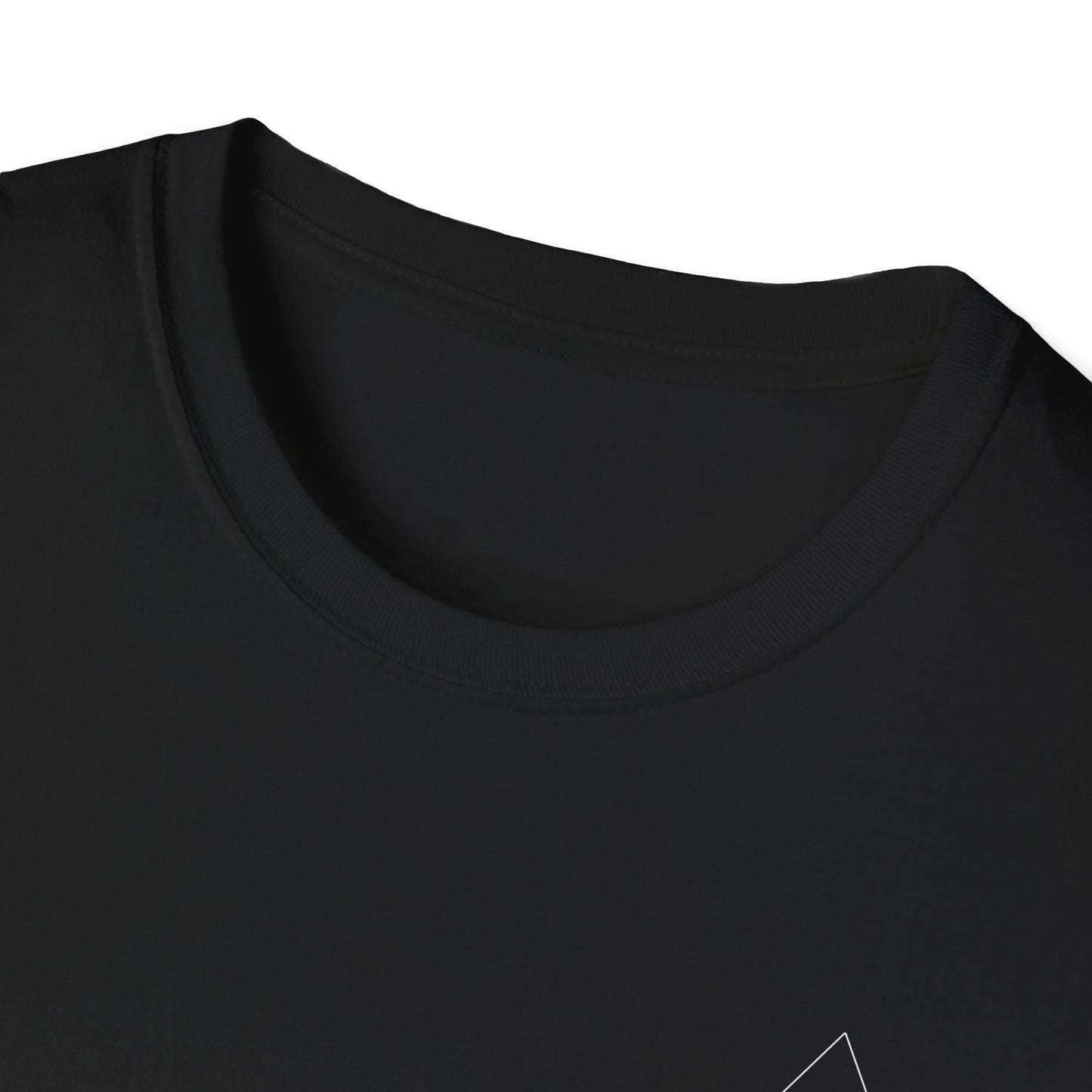 Aesthetically Fit Dopamine Driven Softstyle T-Shirt