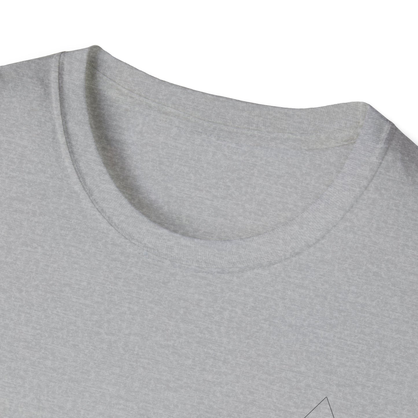 Aesthetically Fit Dopamine Driven Softstyle T-Shirt