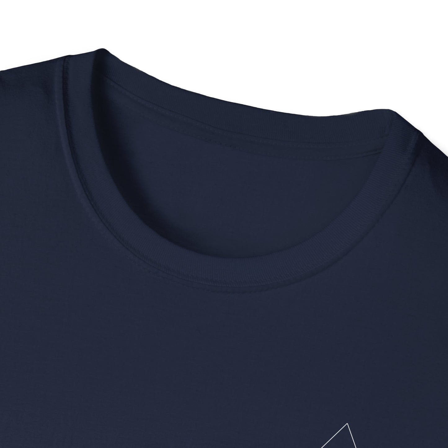 Aesthetically Fit Dopamine Driven Softstyle T-Shirt