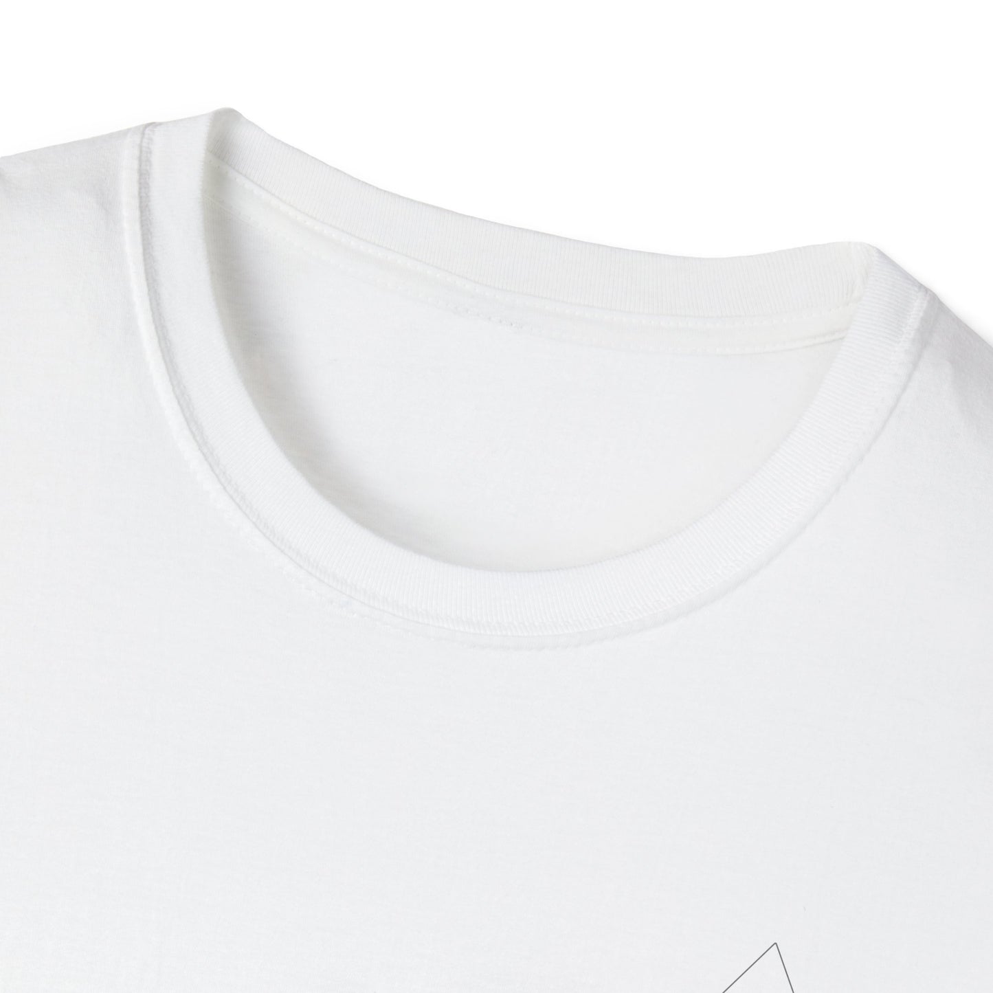 Aesthetically Fit Dopamine Driven Softstyle T-Shirt